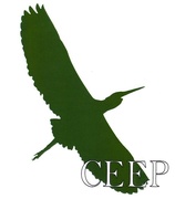 Cliquer pour Agrandir